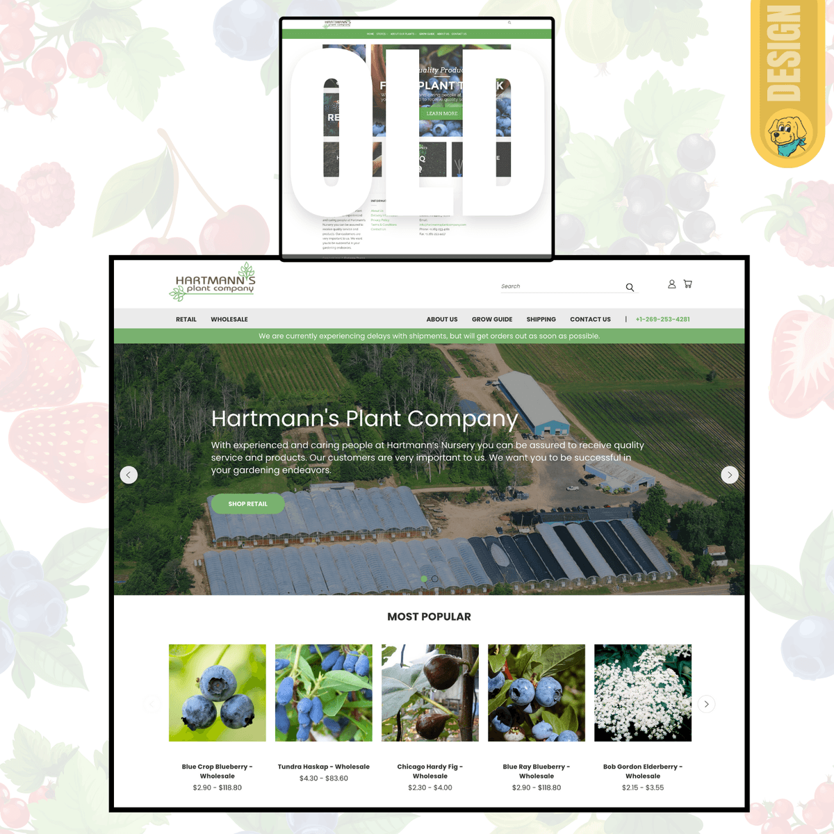 Hartmann's Plant Company Website Migration hartmanns graphic xmDl